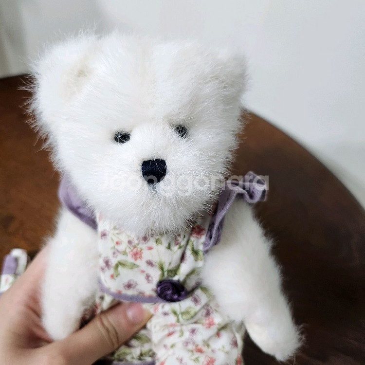 보이즈베어 미모곰 라벤더곰 키덜트 빈티지 인형--7