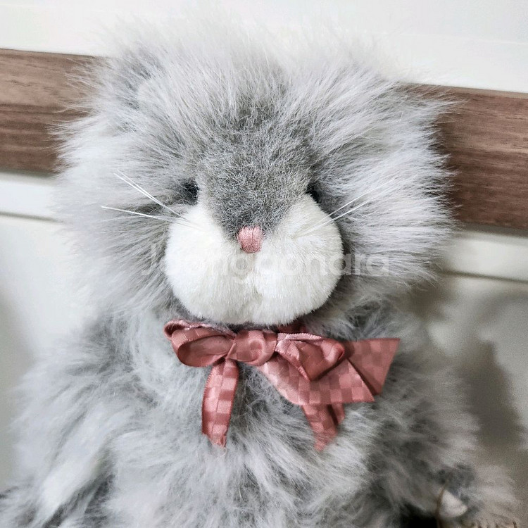 보이즈베어 레어 장모 고양이 페르시안 고양이 키덜트 빈--1