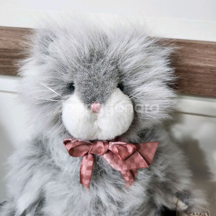 보이즈베어 레어 장모 고양이 페르시안 고양이 키덜트 빈--2