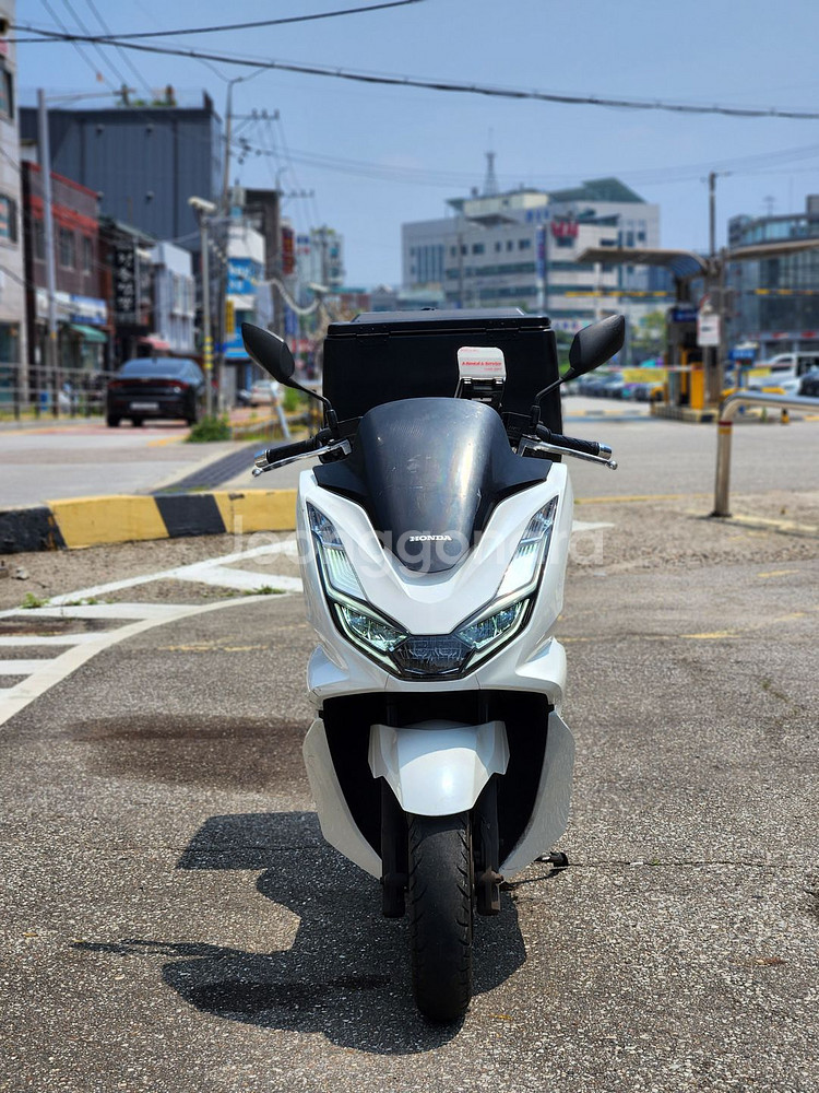 21년식/pcx/125/abs/배달세팅된 최고매물 ㅍㅍ--1