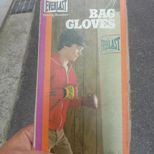 Everlast 복싱 색드백 글러브 사이즈 12oz