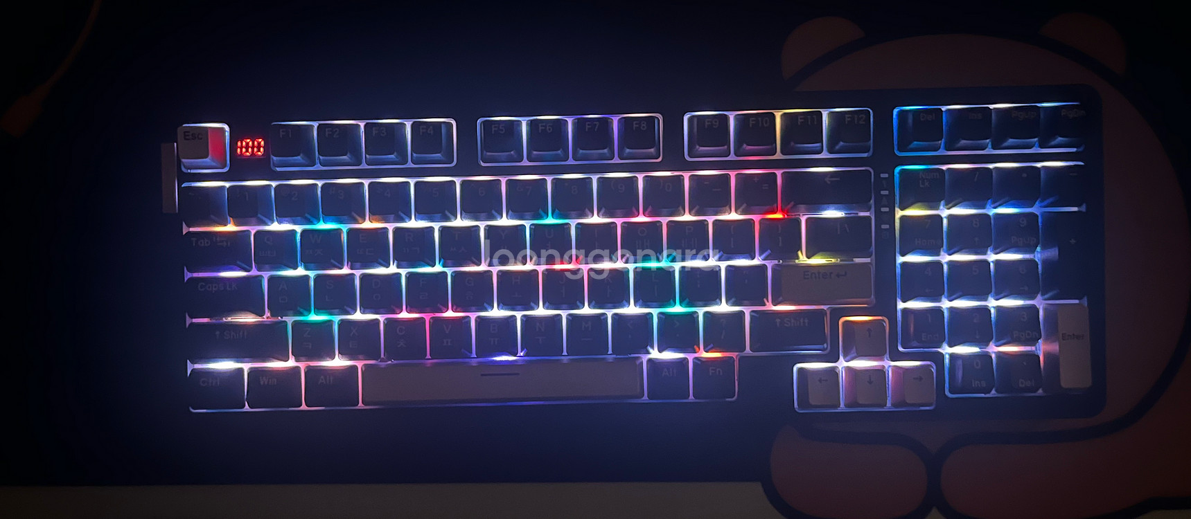 다얼유 A98 유무선 LED 기계식키보드 팝니다--5