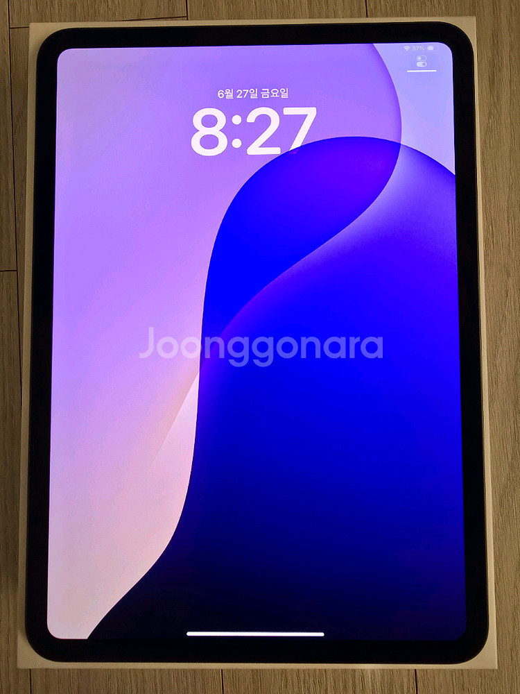 아이패드 프로 11 M4 256기가 + 애케플--0