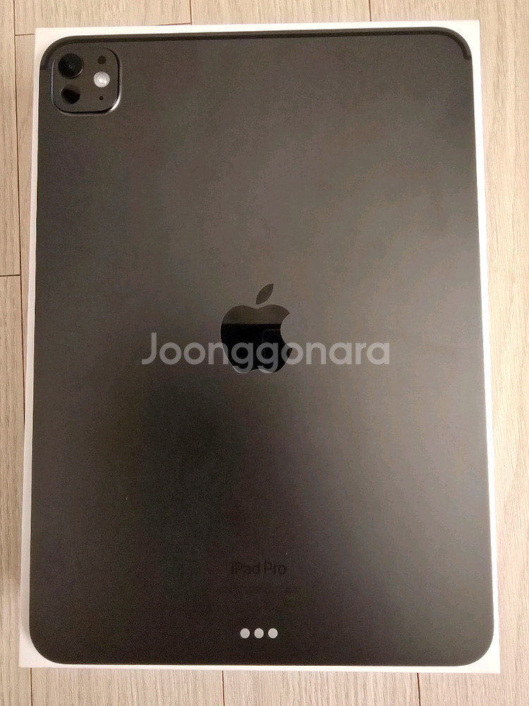 아이패드 프로 11 M4 256기가 + 애케플--1