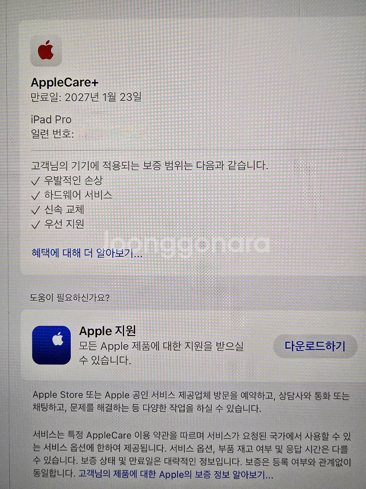 아이패드 프로 11 M4 256기가 + 애케플--6