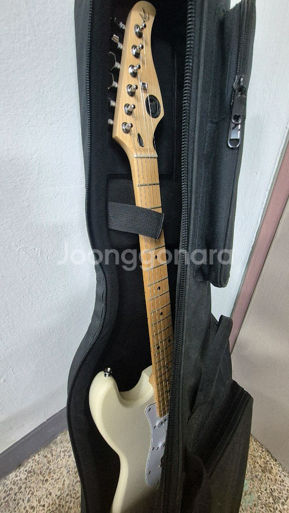 고퍼우드 일렉기타 팝니다 급처--0