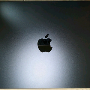 (새상품급)맥북 에어 M3 13인치 16GB 1TB