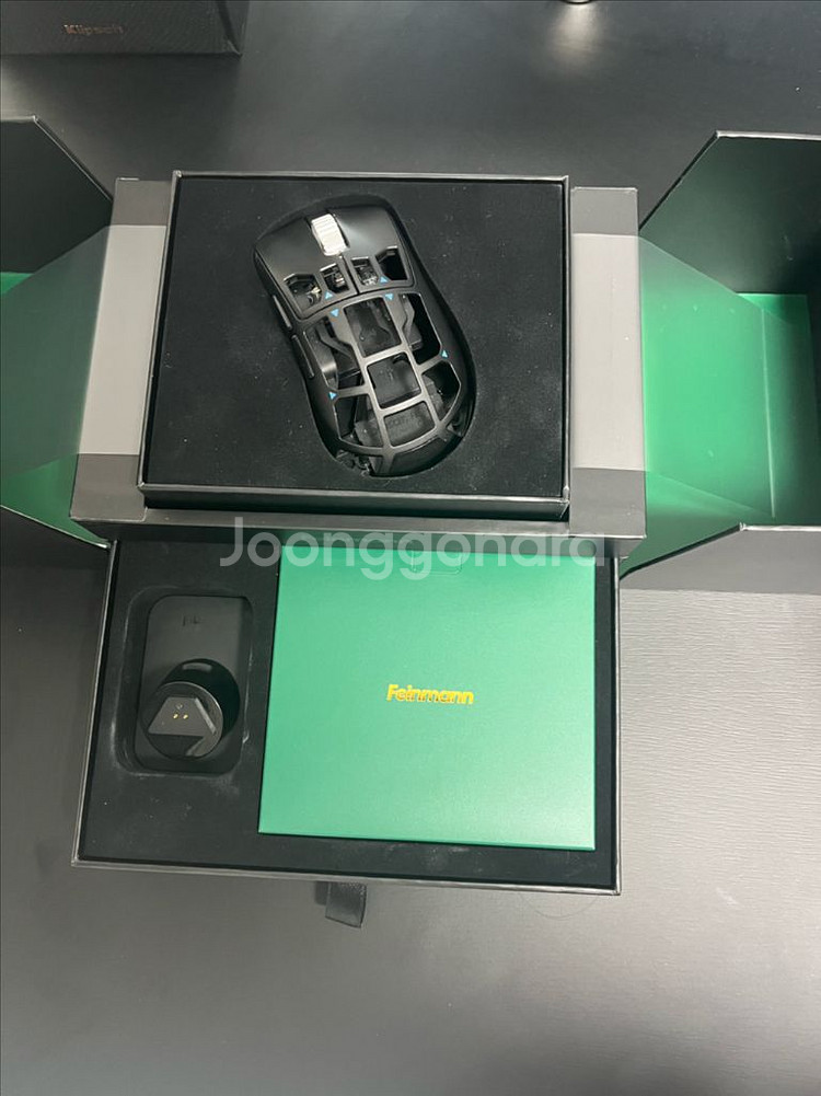 펄사 파인만 Feinmann F01--0