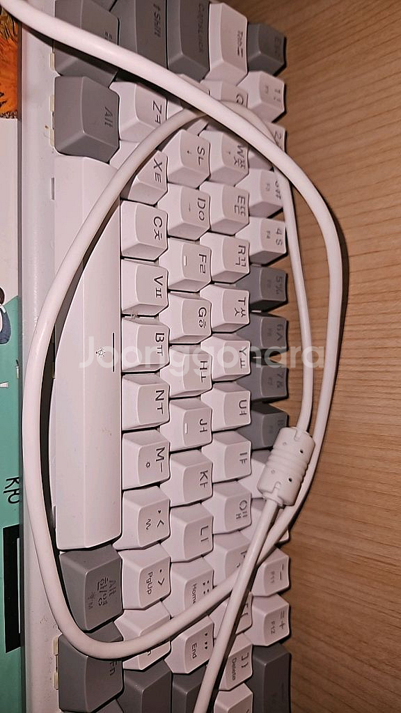 래피드 트리거 키보드--0