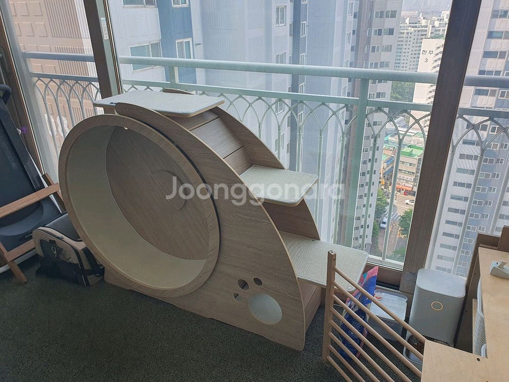 나비나무 캣휠--0