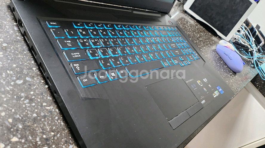 아수스 TUF 17.3인치 i7 고성능 게이밍 노트북--4