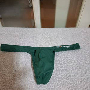 남자티팬티