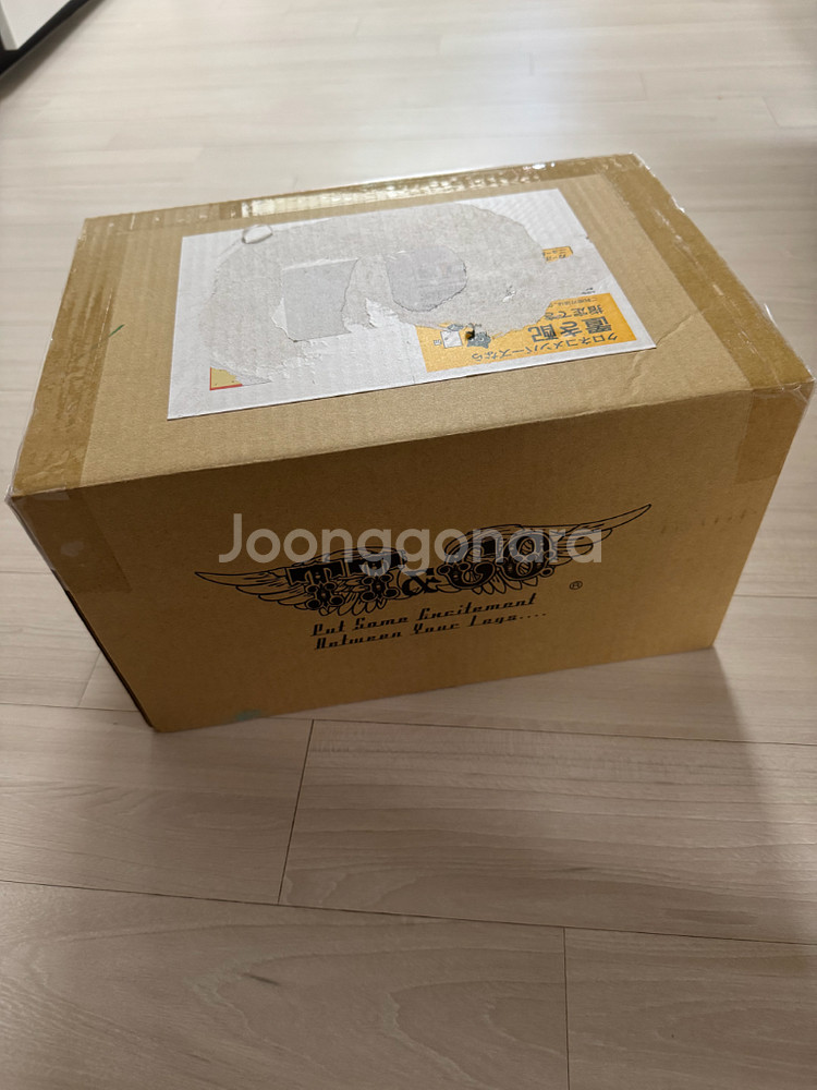 티티앤코 TT&CO일본생산 정품 반모 S사이즈 화이트--2