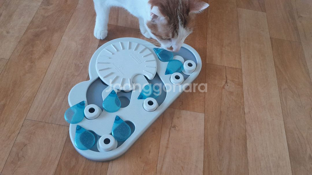 캣잇 푸드트리,니나오토슨 레이니데이 고양이 먹이퍼즐--0
