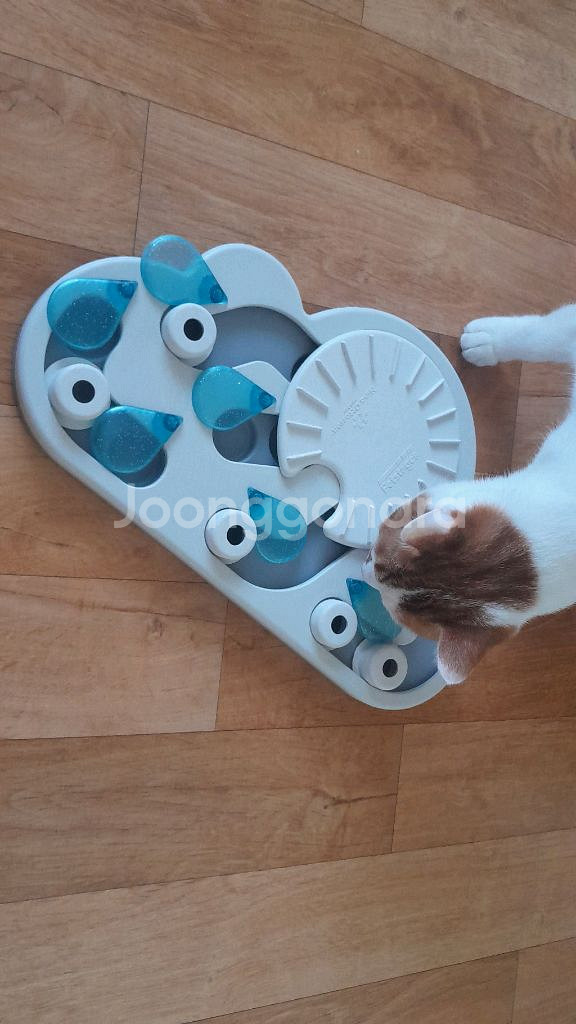 캣잇 푸드트리,니나오토슨 레이니데이 고양이 먹이퍼즐--1