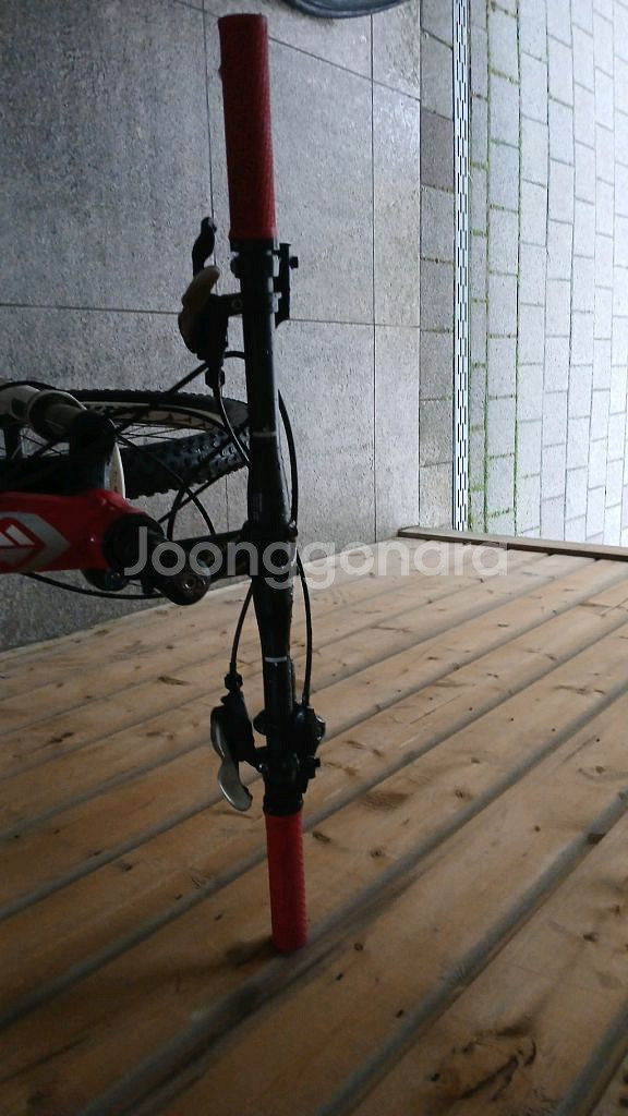 MTB--3