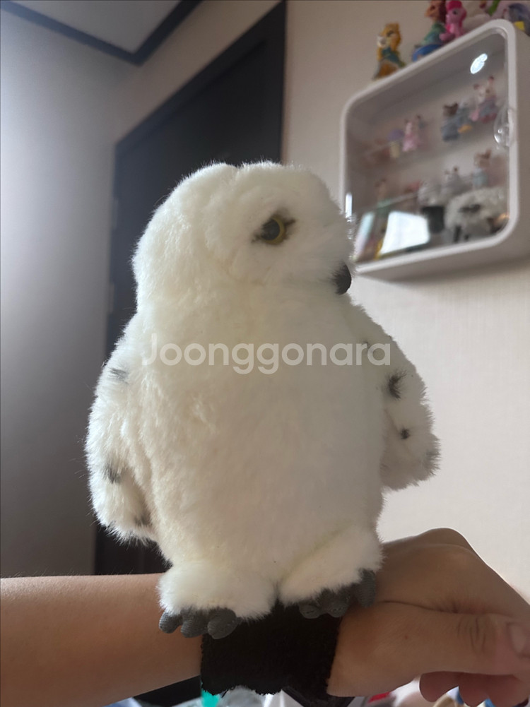 해리포터 정품 헤드윅 손목인형--0