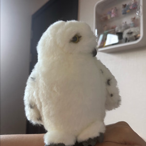 해리포터 정품 헤드윅 손목인형
