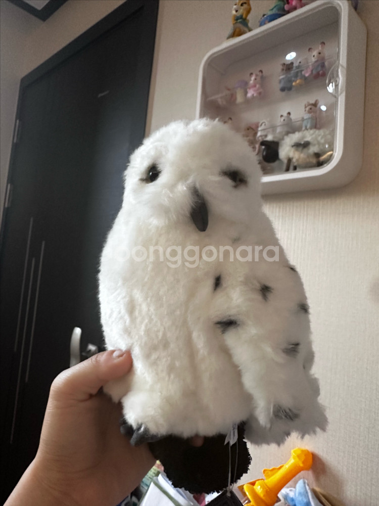 해리포터 정품 헤드윅 손목인형--1