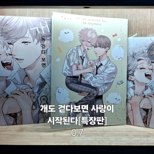 BL만화책 20권 비엘