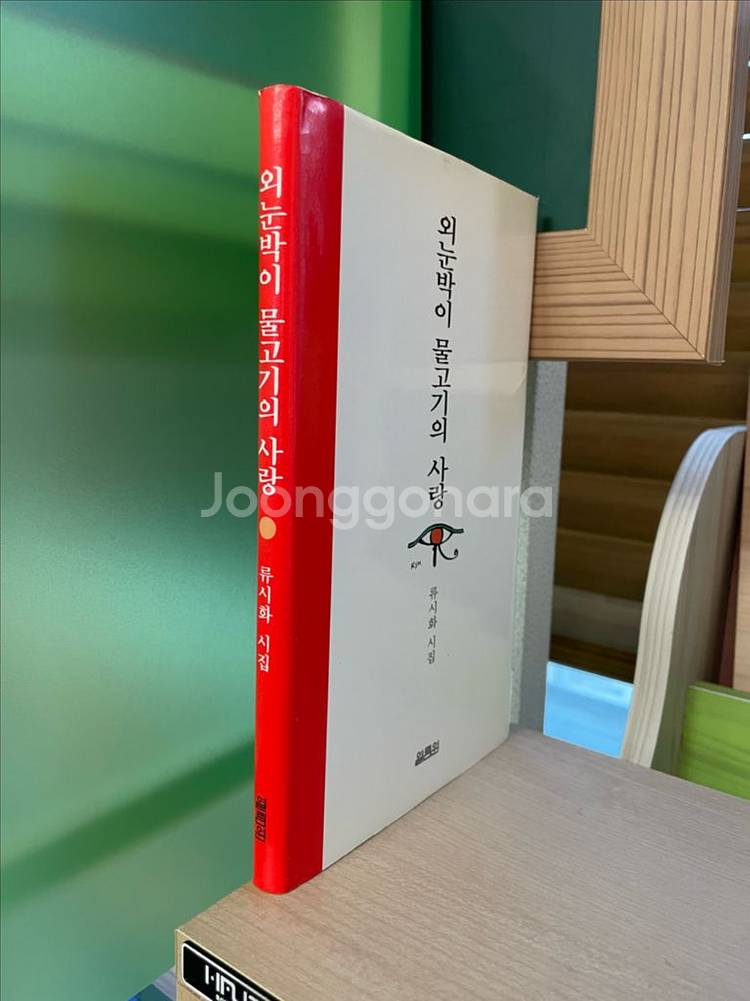 외눈박이 물고기의 사랑 : 류시화 시집--2