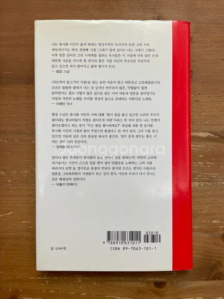 외눈박이 물고기의 사랑 : 류시화 시집--1