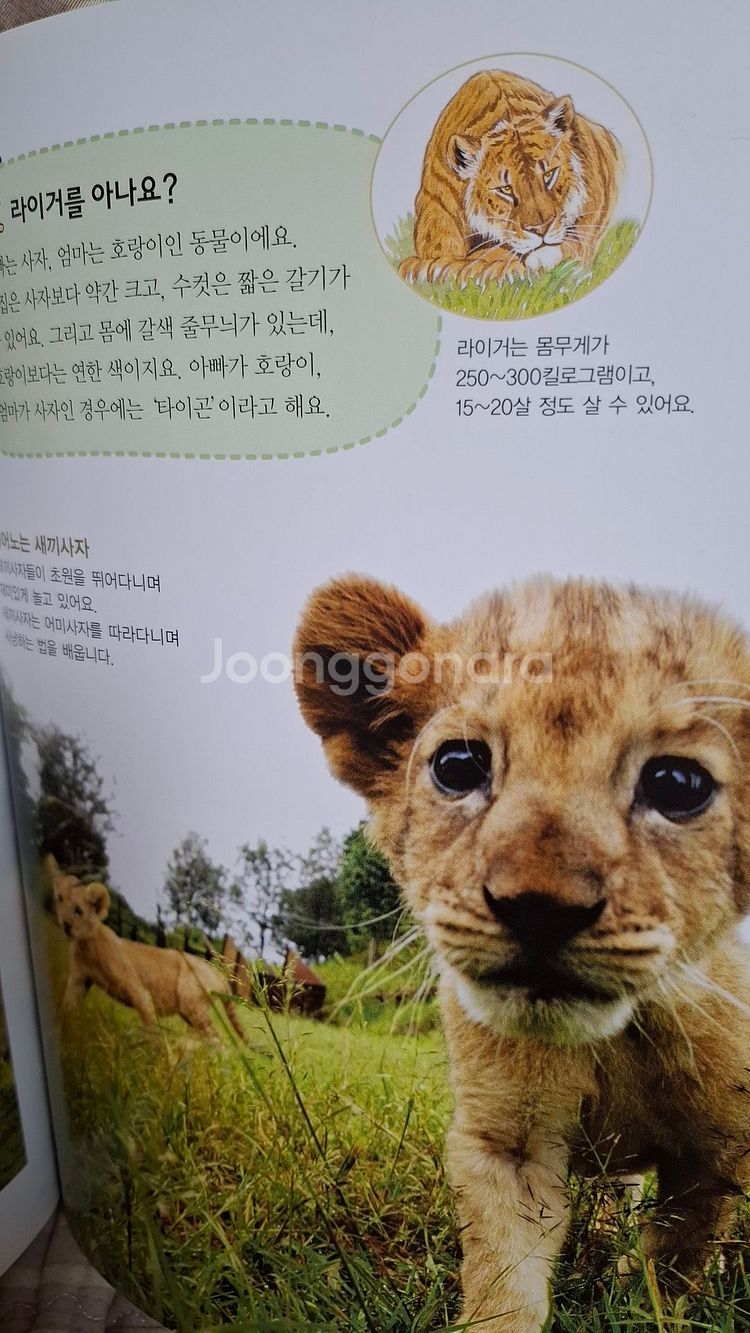 아가월드 자연은 내친구 전권50--3