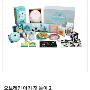 웅진 오브레인 아기 첫놀이세트