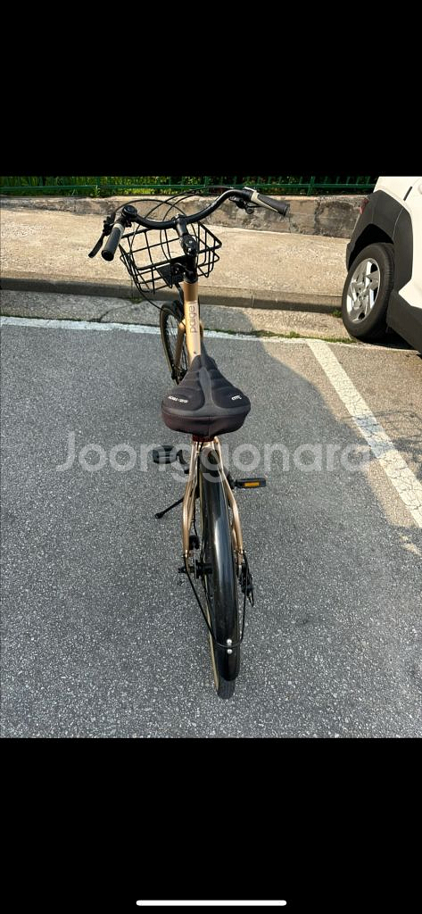 첼로 클래식 자전거 26 PAIGE--3