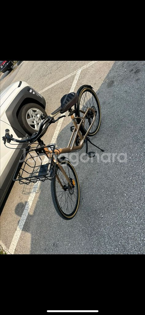 첼로 클래식 자전거 26 PAIGE--2