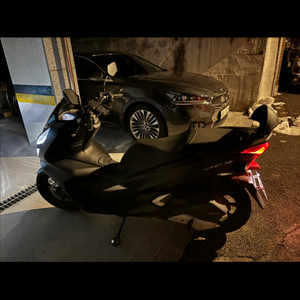 pcx125 19년식