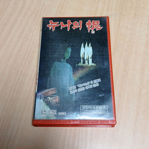 한국 귀신 공포영화 누나의 한 비디오 테이프