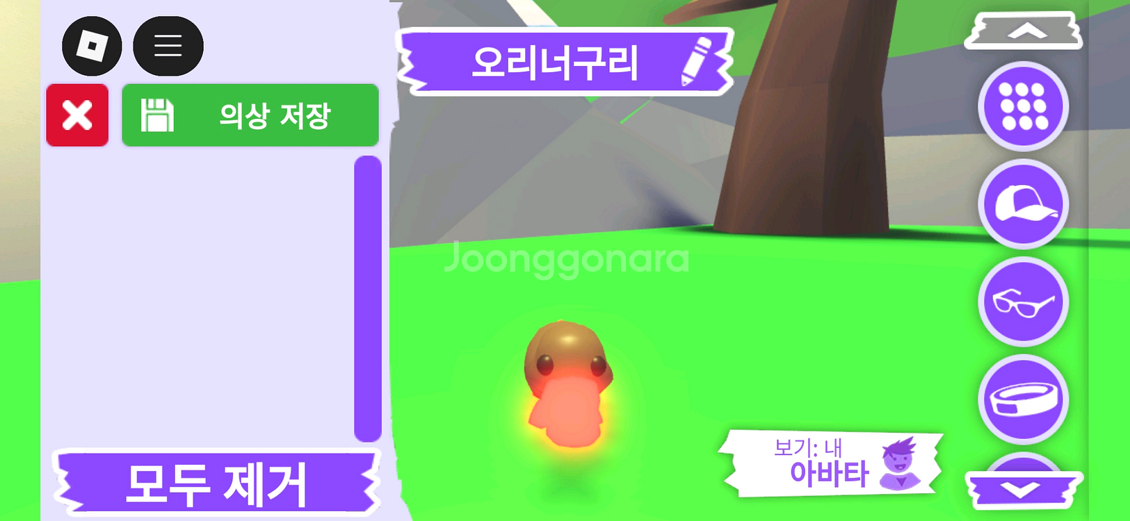 입양하세요 펫 메가네온 오리너구리 판매합니다--0
