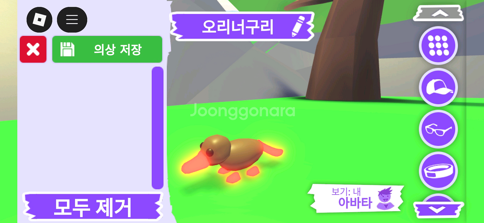 입양하세요 펫 메가네온 오리너구리 판매합니다--2