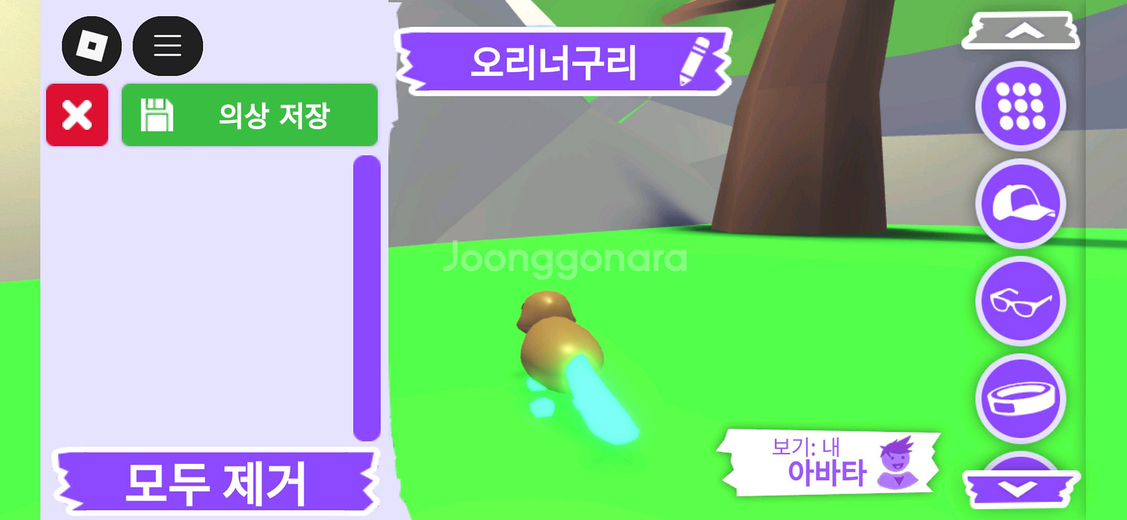 입양하세요 펫 메가네온 오리너구리 판매합니다--3