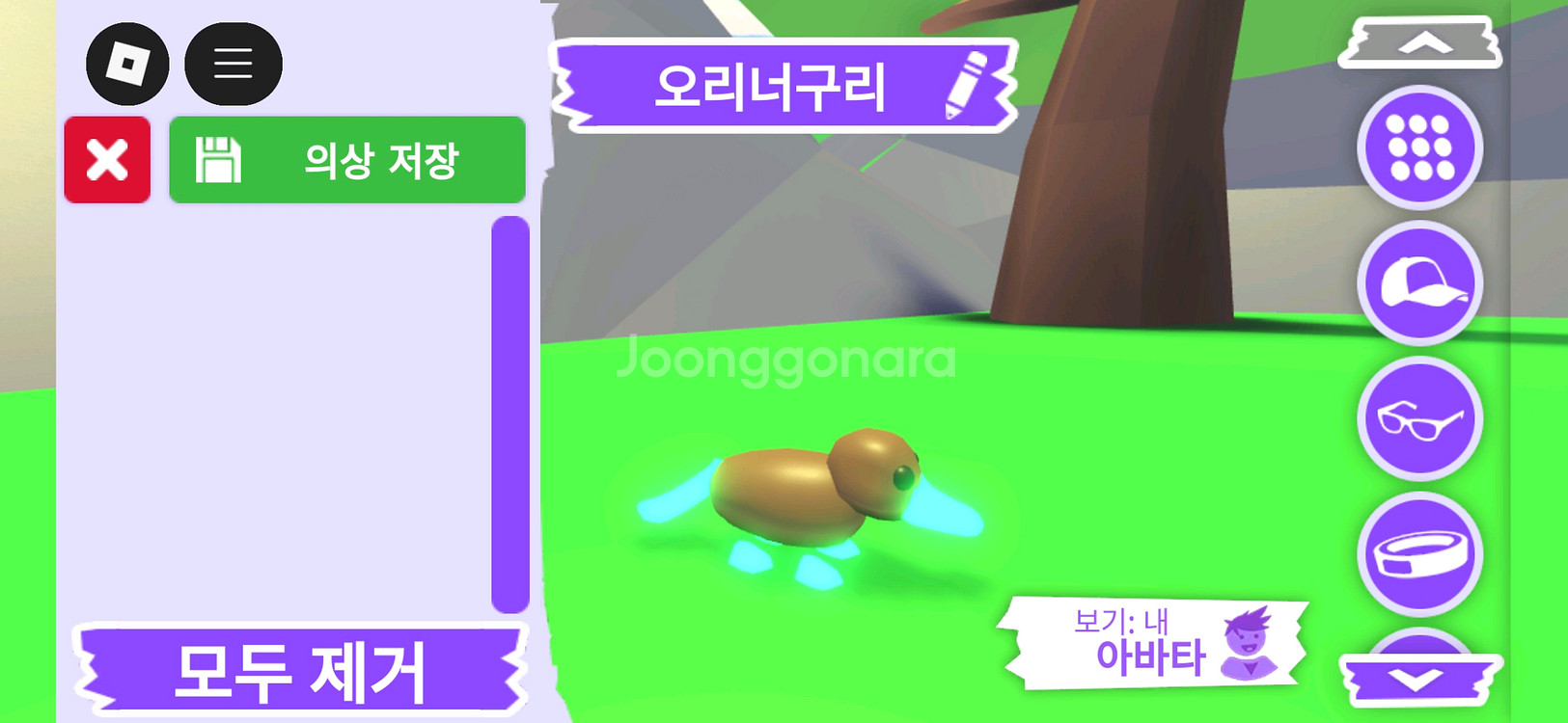 입양하세요 펫 메가네온 오리너구리 판매합니다--1