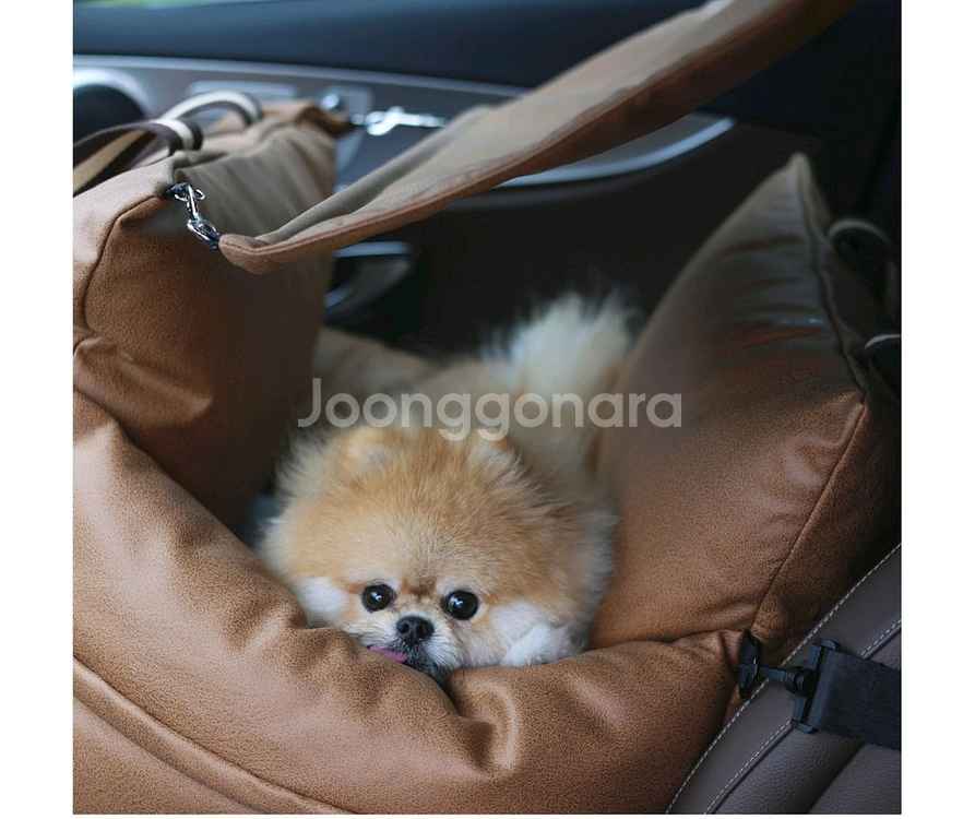 강아지 카시트--0