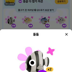 틱톡 물고기 돌돔 복어 참다랑어 판골린 이미지