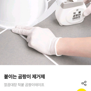 깔끔대장 곰팡이 테이프