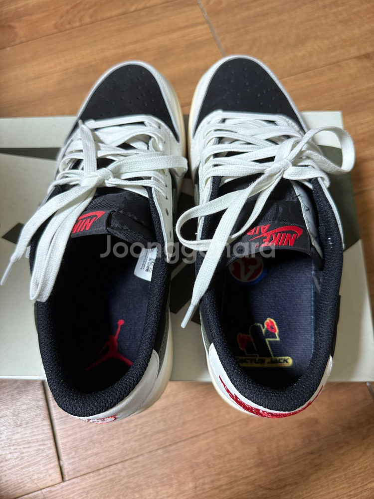 스캇미디움올리브 265--2