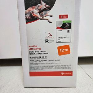아이언울프 12TB