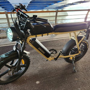 SMD BIKE 전기자전거 팻바이크 48v 35Ah 삼