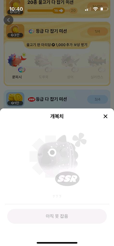 틱톡라이트 개복치 삽니다.--0