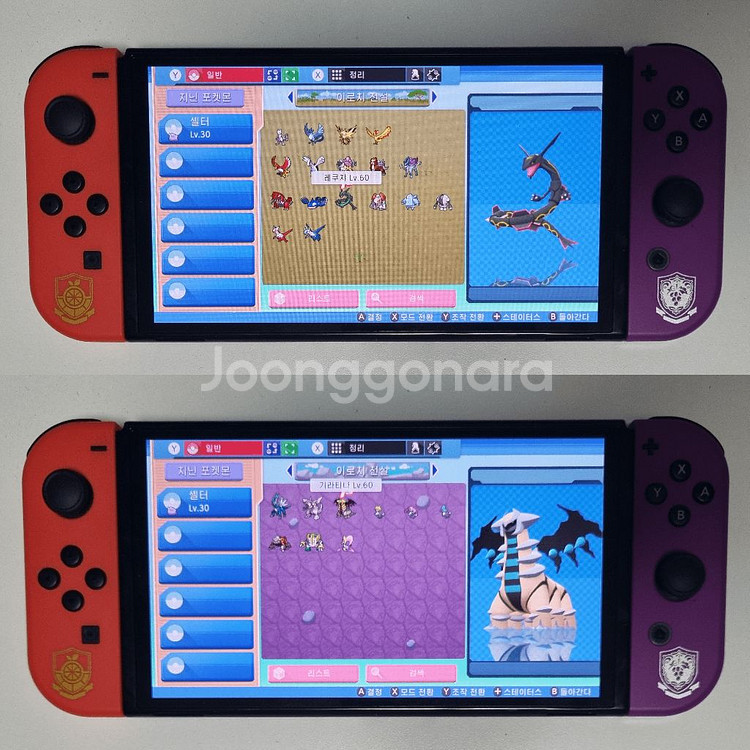 브다샤펄 / 각종 이로치, 실전, 배포 포켓몬 분양--1