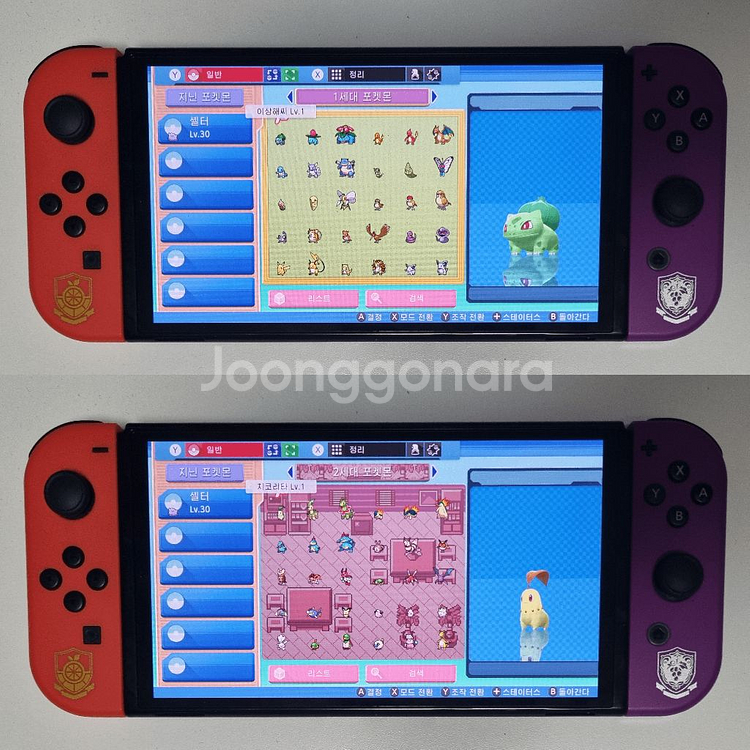 브다샤펄 / 각종 이로치, 실전, 배포 포켓몬 분양--2