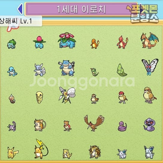 브다샤펄 / 각종 이로치, 실전, 배포 포켓몬 분양--4