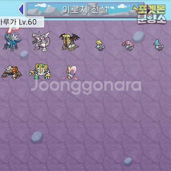 브다샤펄 / 각종 이로치, 실전, 배포 포켓몬 분양--9