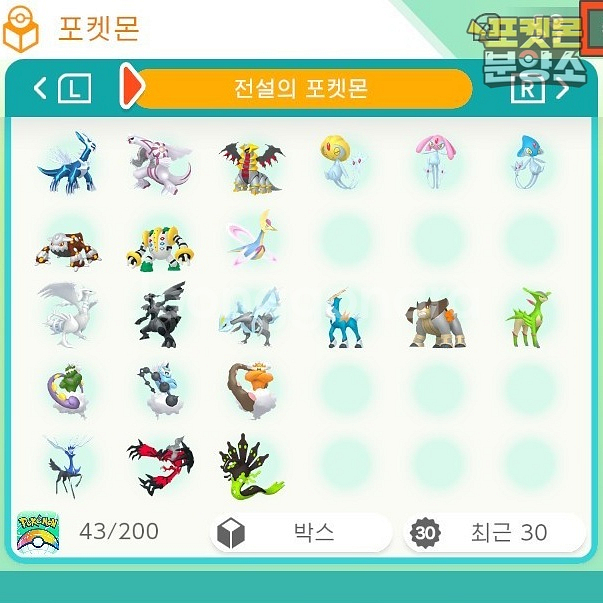 전설의 포켓몬 분양 / 포켓몬 홈--1