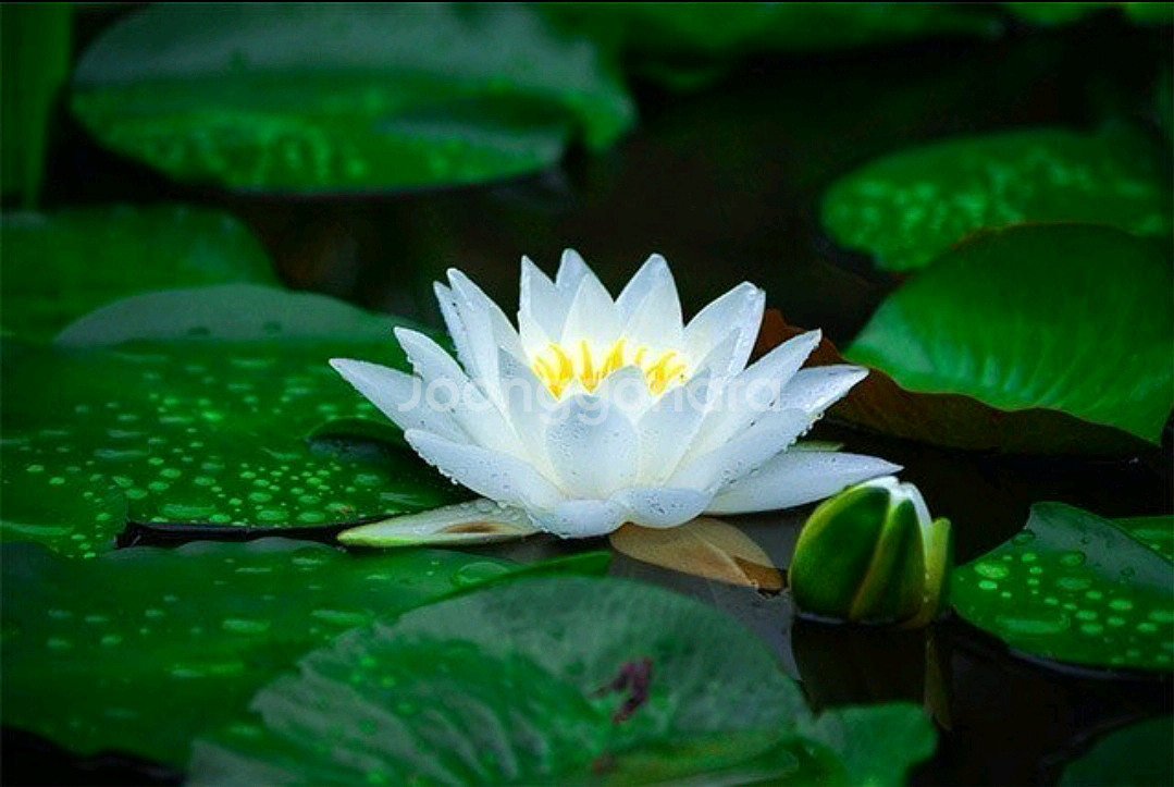 수능 입시 진로적성 클리닉입니다--0