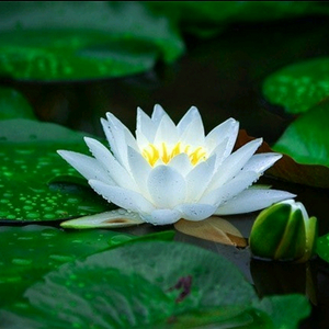 수능 입시 진로적성 클리닉입니다